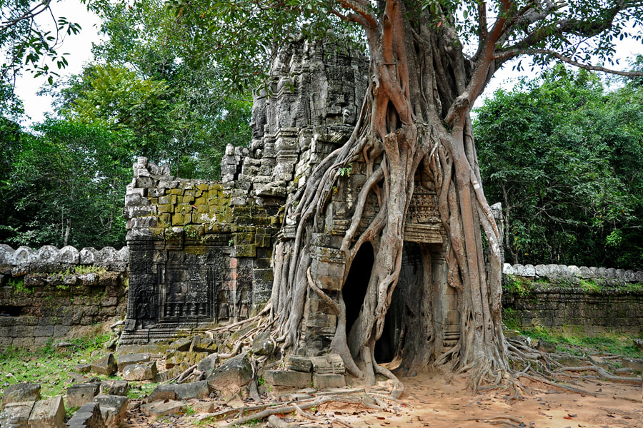 main gateway of Ta Som with strangler fig