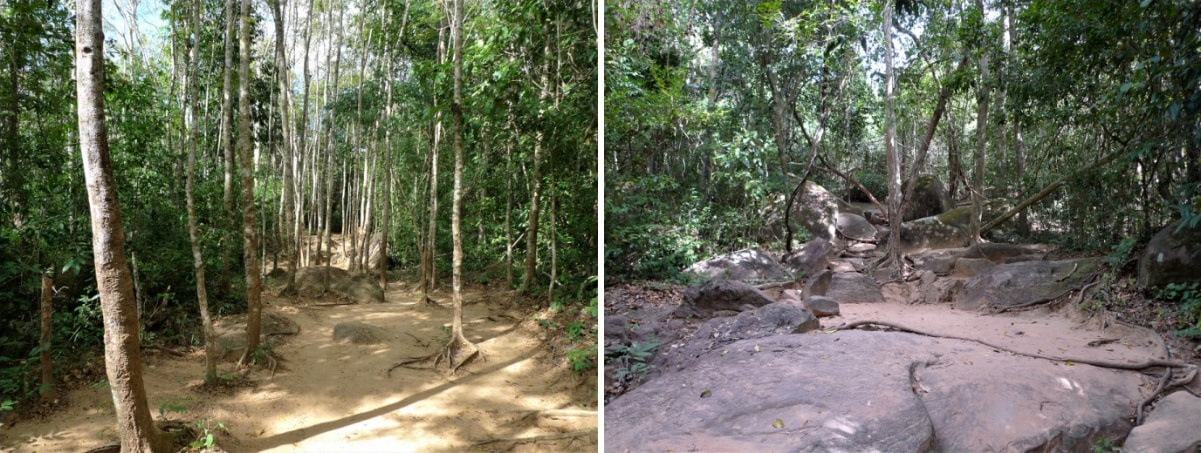 Bild 1 & 2: Waldpassagen auf dem Weg zur Kultstätte Kbal Spean