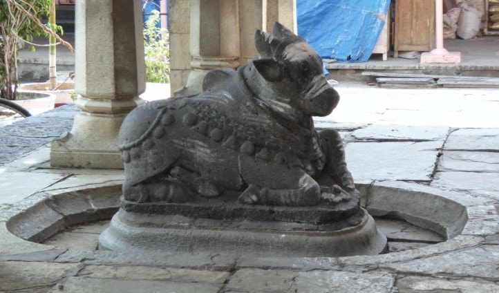 Bild 3: NANDI – Schrein im Siddheshwar Tempel in Solapur (Maharashtra)