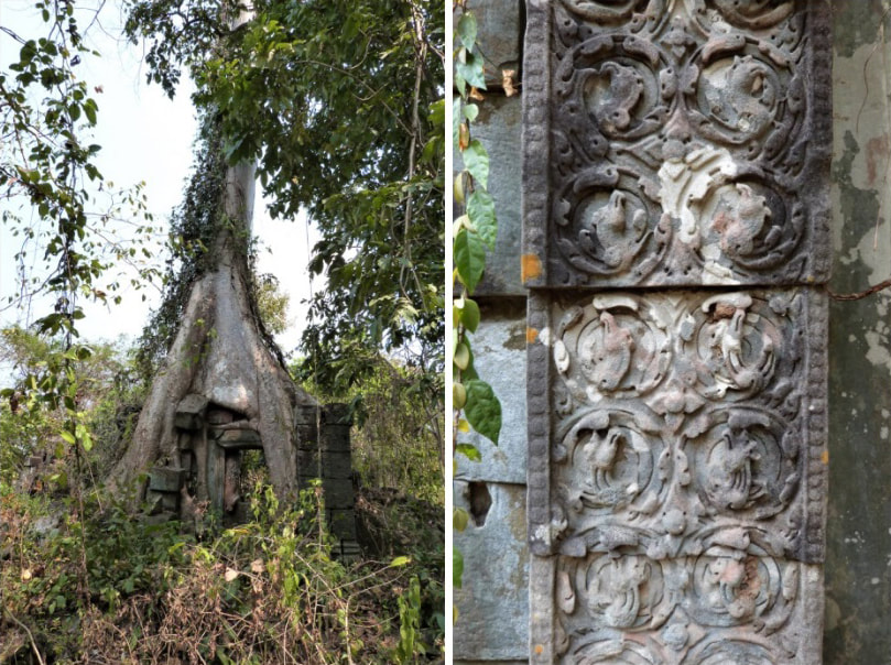 Pram Tempel – Vegetation und Kunst 