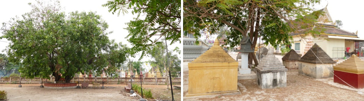 Aranh Sakor Pagoda: Friedhof, schlichte Grab-Stupas