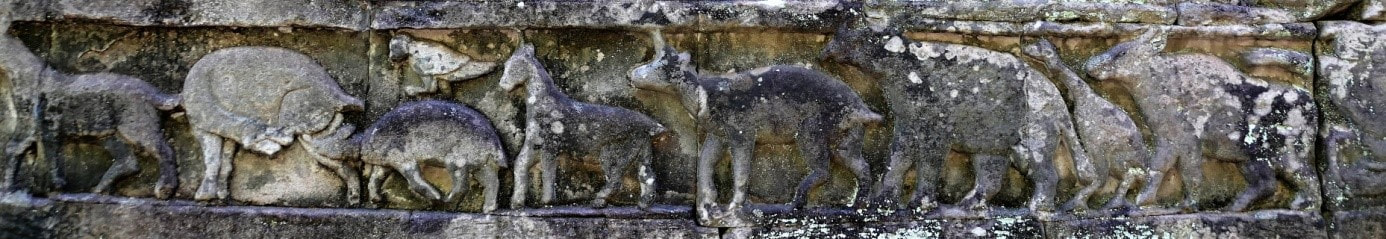 Tier-Reliefs am Bayon Tempel Bild 34